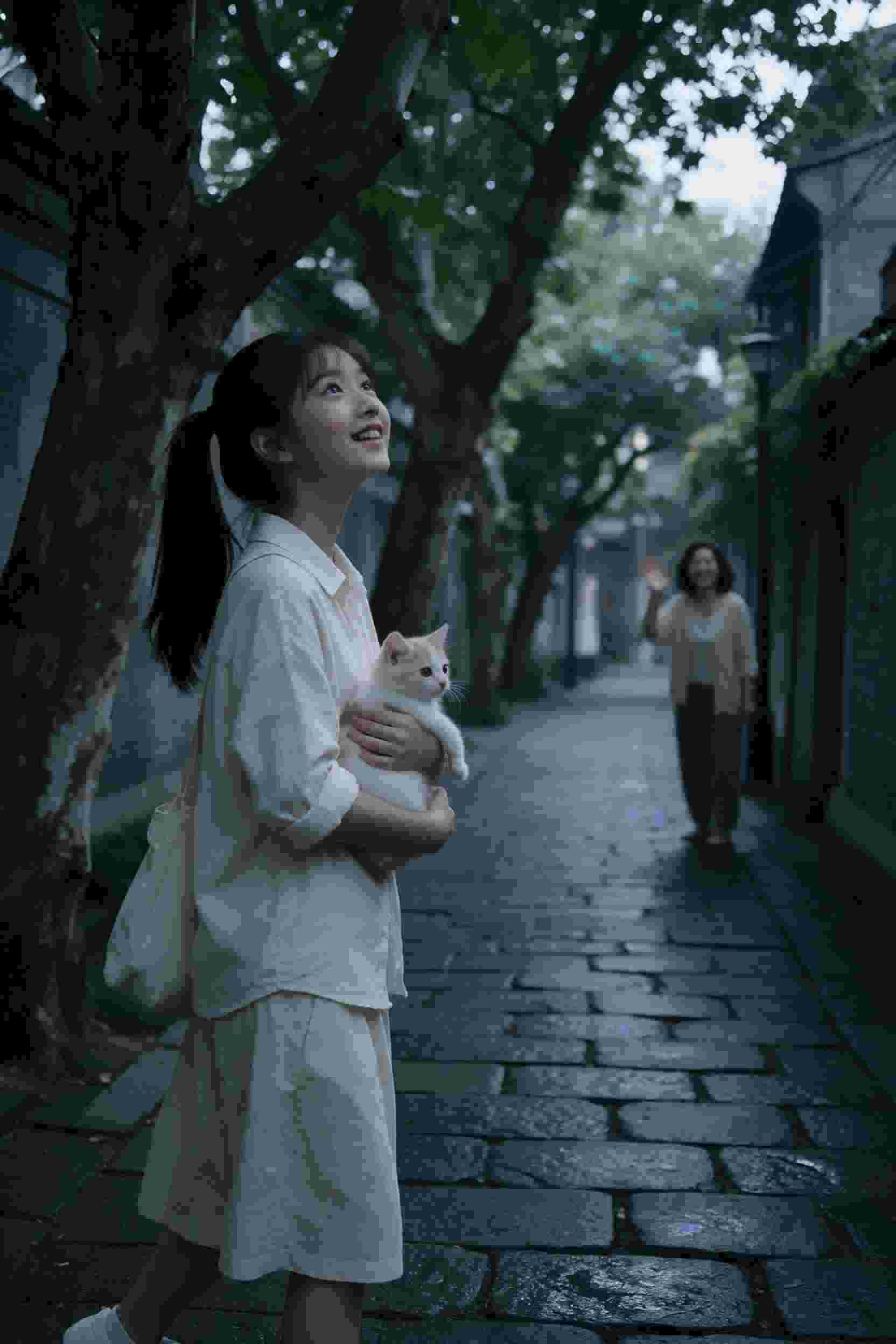 总裁的秘密